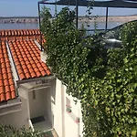 Gigi * Jadranovo